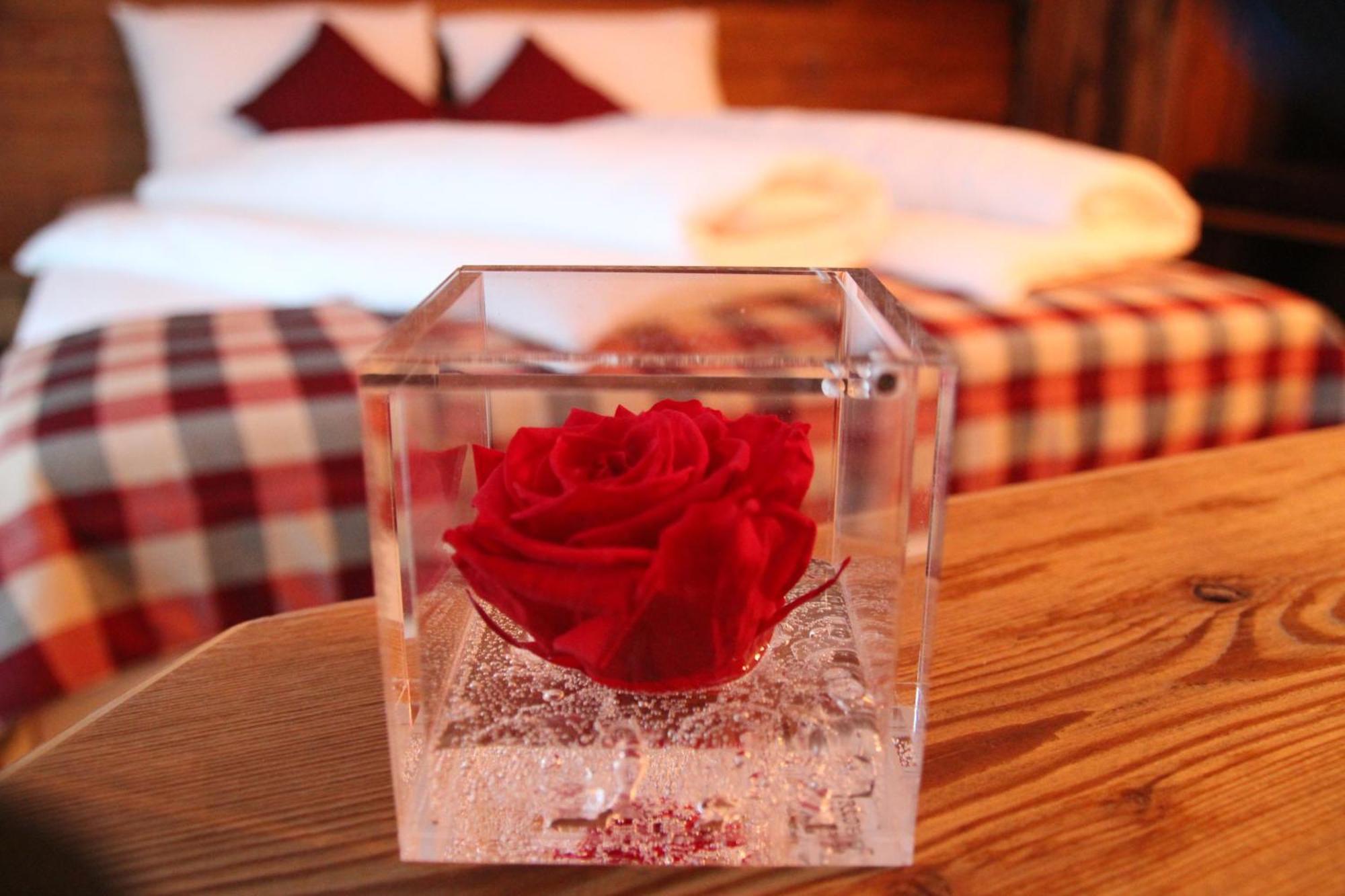 Green Rose ลีวินโญ ภายนอก รูปภาพ